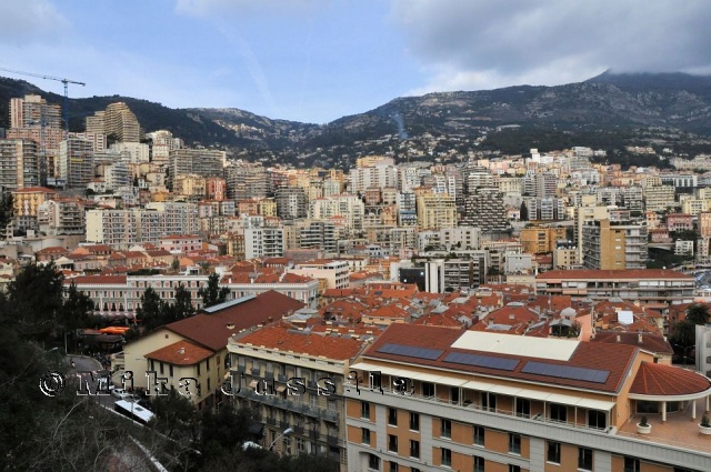 Monaco-28-1-2010-Jan10 462